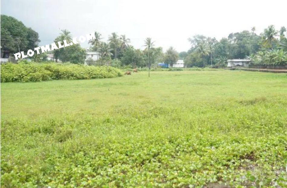 Agricultural Land For Sale