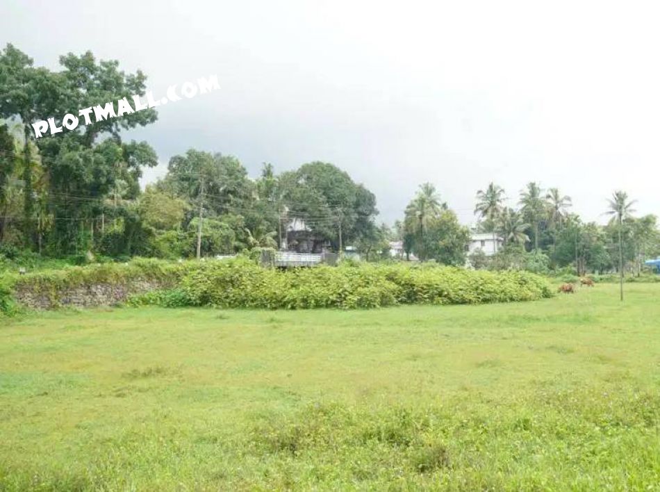 Agricultural Land For Sale