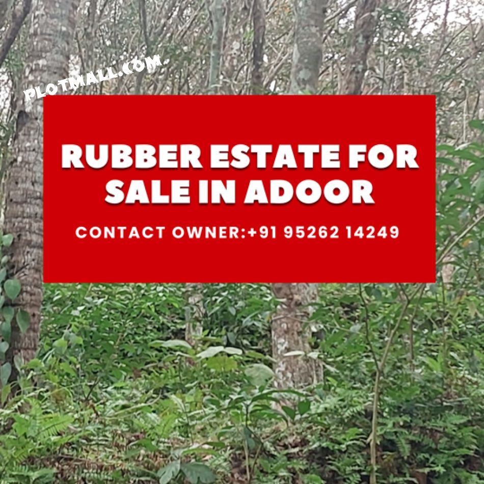 2.8 Acre Agricultural Land for Sale at Mookkannur Budget - 22000 Cent