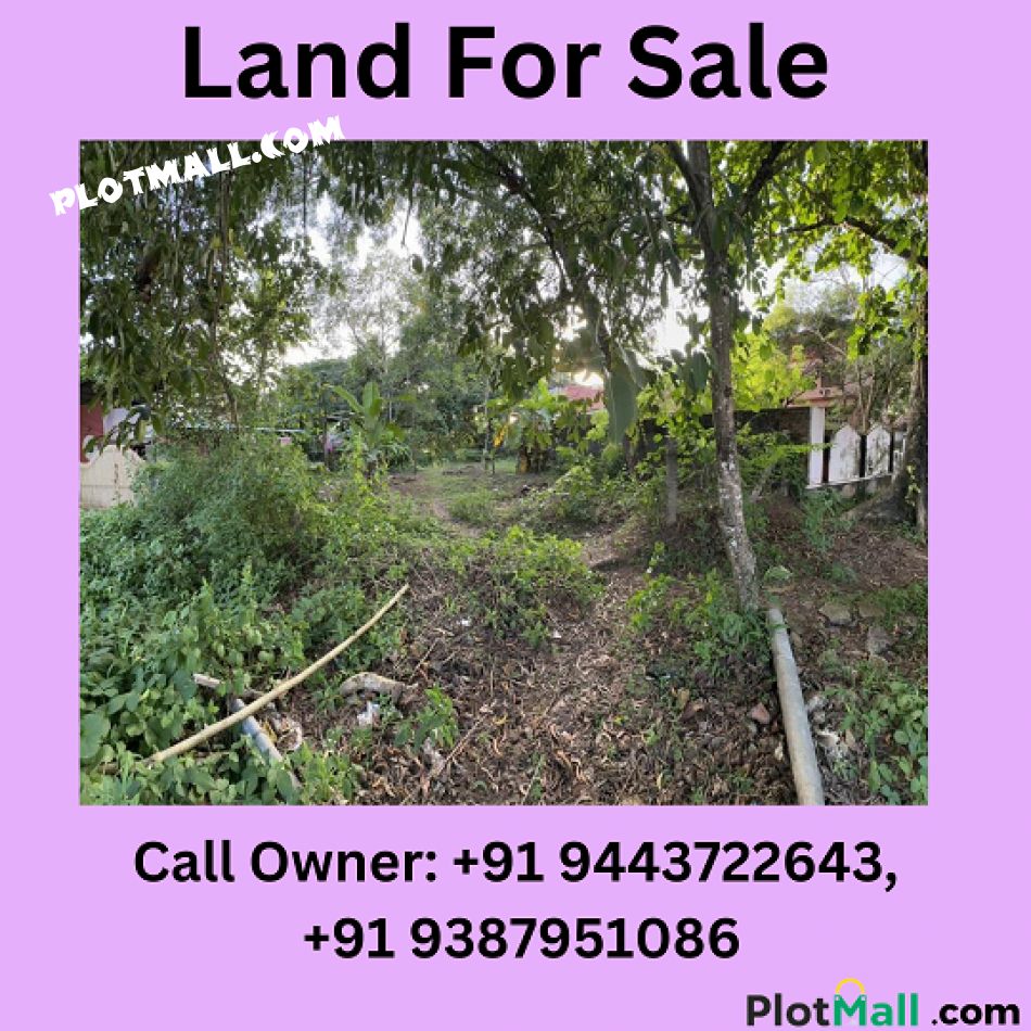 Commercial Land For Sale