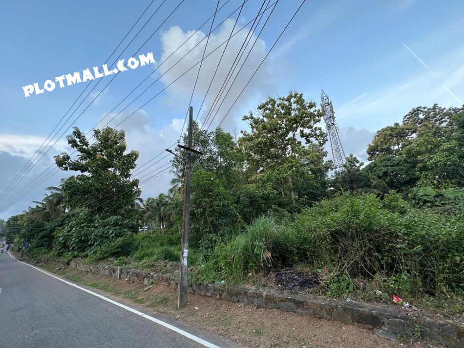 Commercial Land For Sale