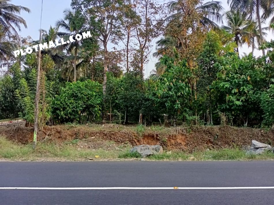 18 Cent Commercial Land for Sale at Nellimattom Budget - 660000 Cent