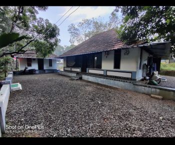 45.5 Cent House / Villa for Sale at Pothanicad Budget - 5400000 Total