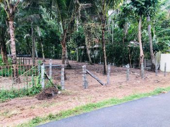 25 Cent Residential Land for Sale at Alappuzha Budget - 300000 Cent