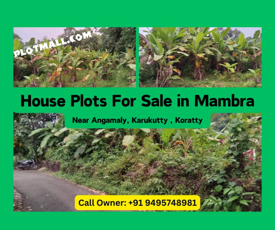 30 Cent Residential Land for Sale at Angamaly Budget - 300000 Cent