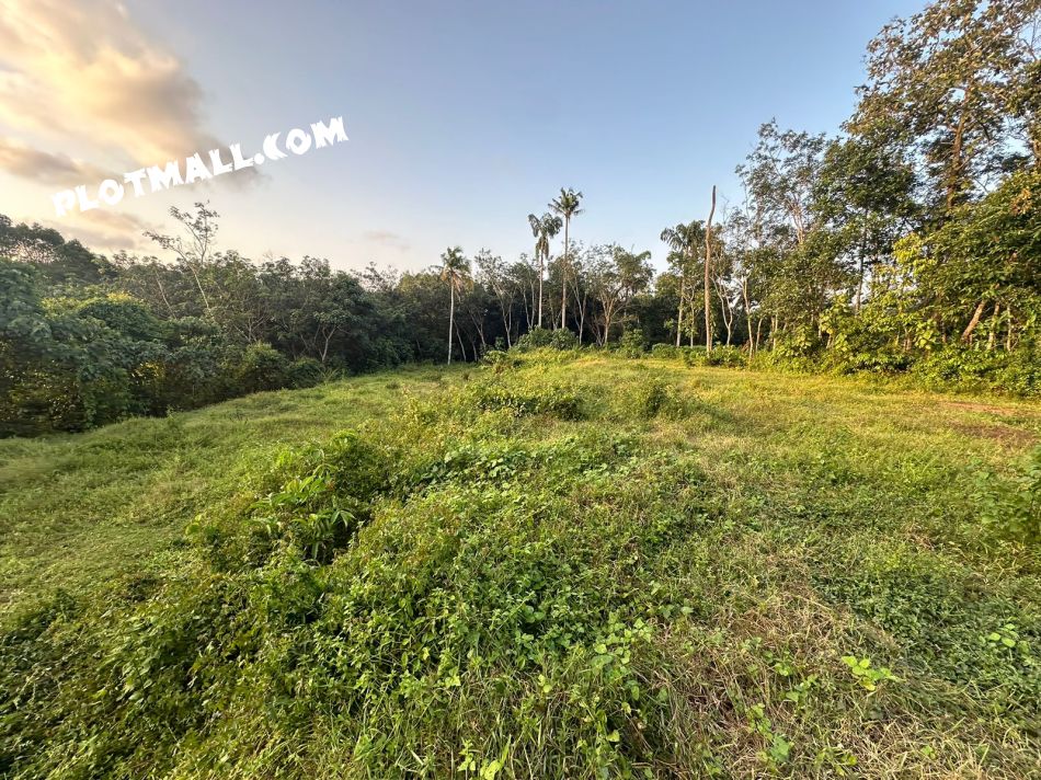 Residential Land For Sale