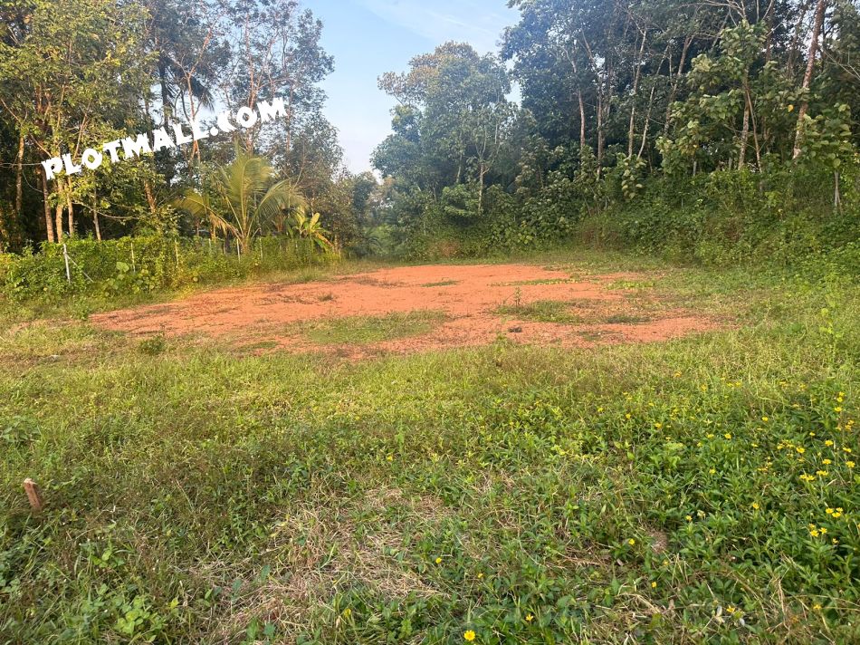 Residential Land For Sale