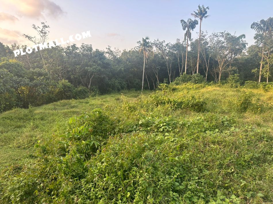 Residential Land For Sale