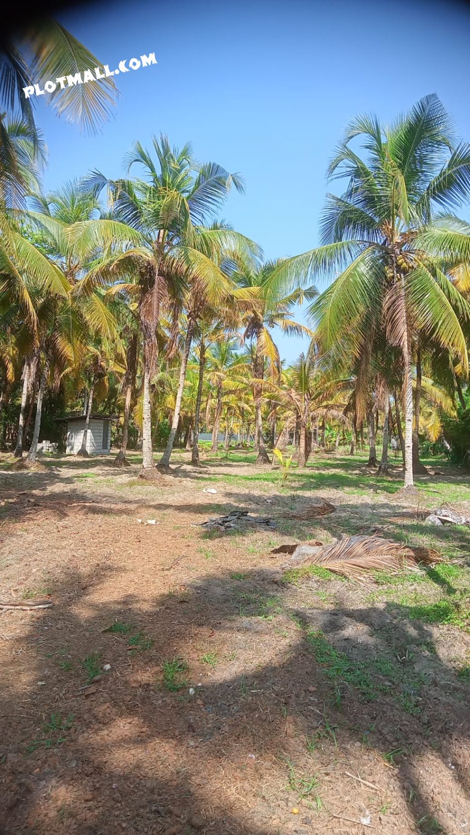 Residential Land For Sale