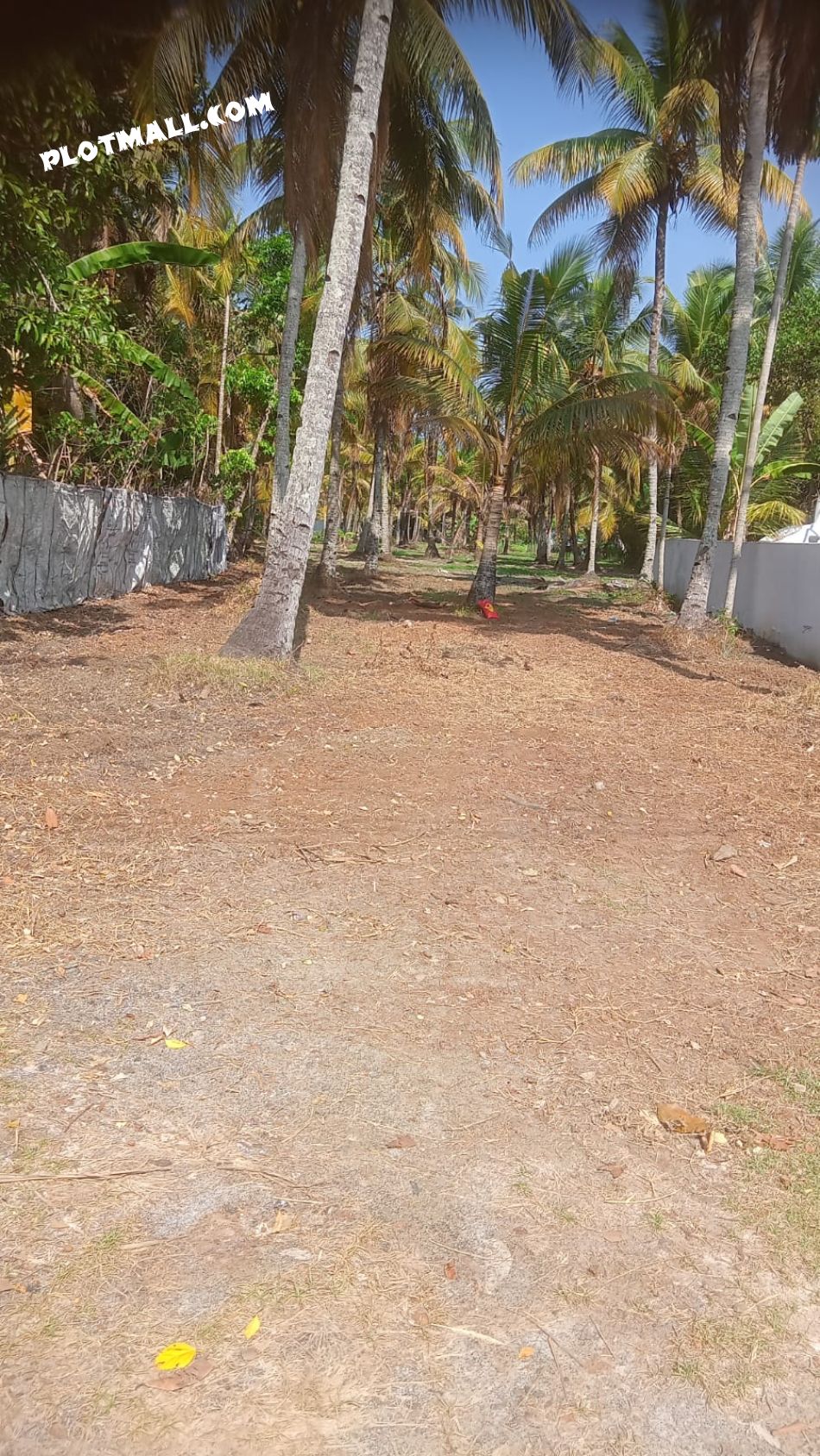 Residential Land For Sale