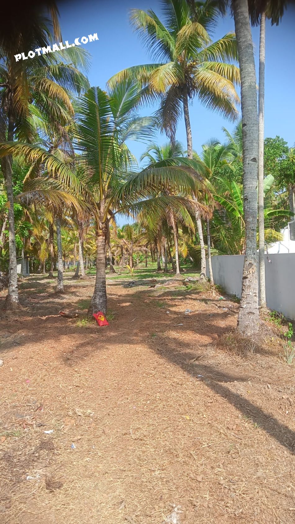 Residential Land For Sale