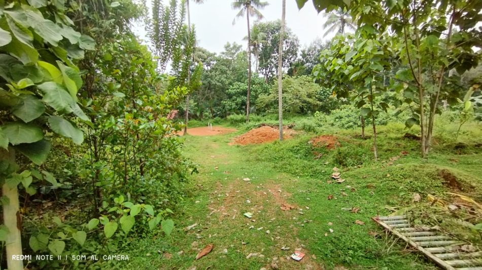 Residential Land For Sale