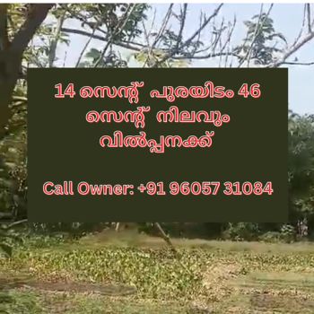 14 Cent Residential Land for Sale at Muhamma Budget - 125000 Cent