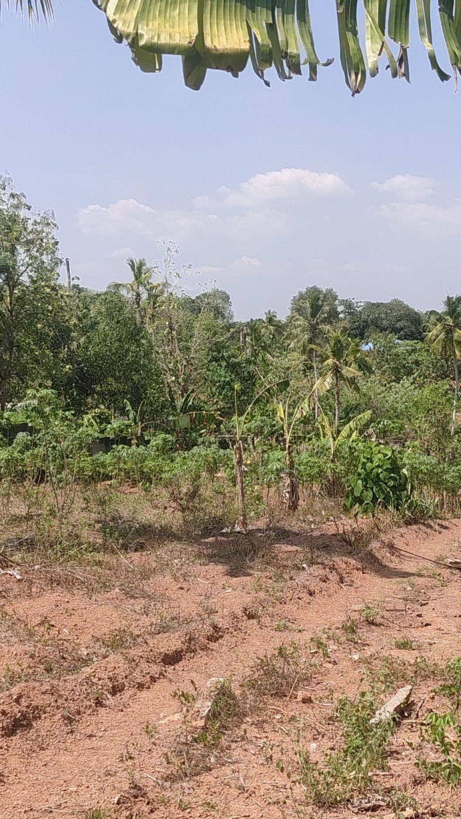 Residential Land For Sale