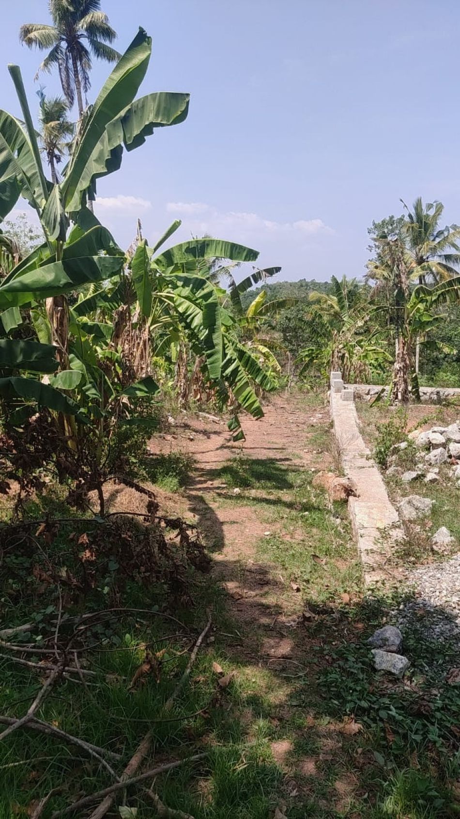 Residential Land For Sale