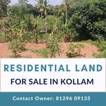 85 Cent Residential Land for Sale at Nedumankavu Budget - 160000 Cent