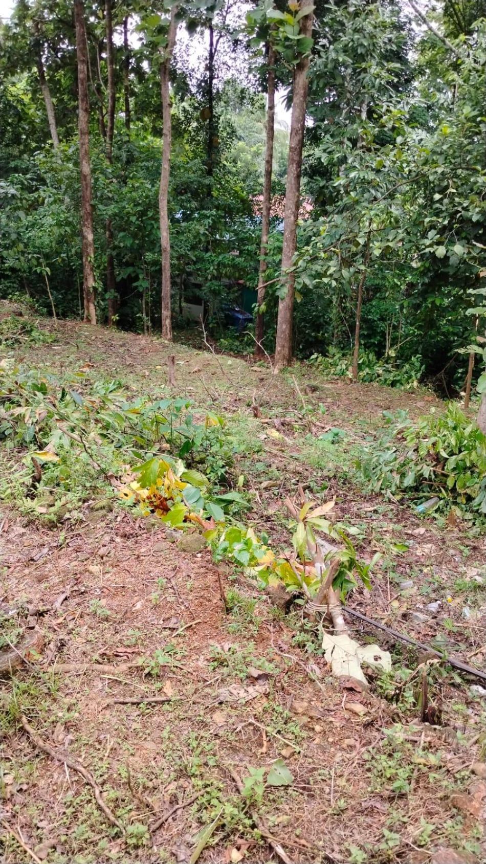 Residential Land For Sale