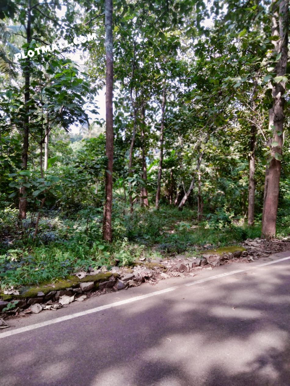 Residential Land For Sale