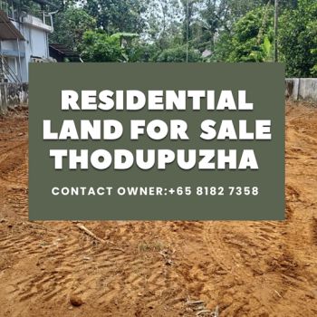 16.5 Cent Residential Land for Sale at Thoduppuzha Budget - 575000 Cent