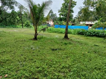 26 Cent Residential Land for Sale at Alappuzha Budget - 250000 Cent