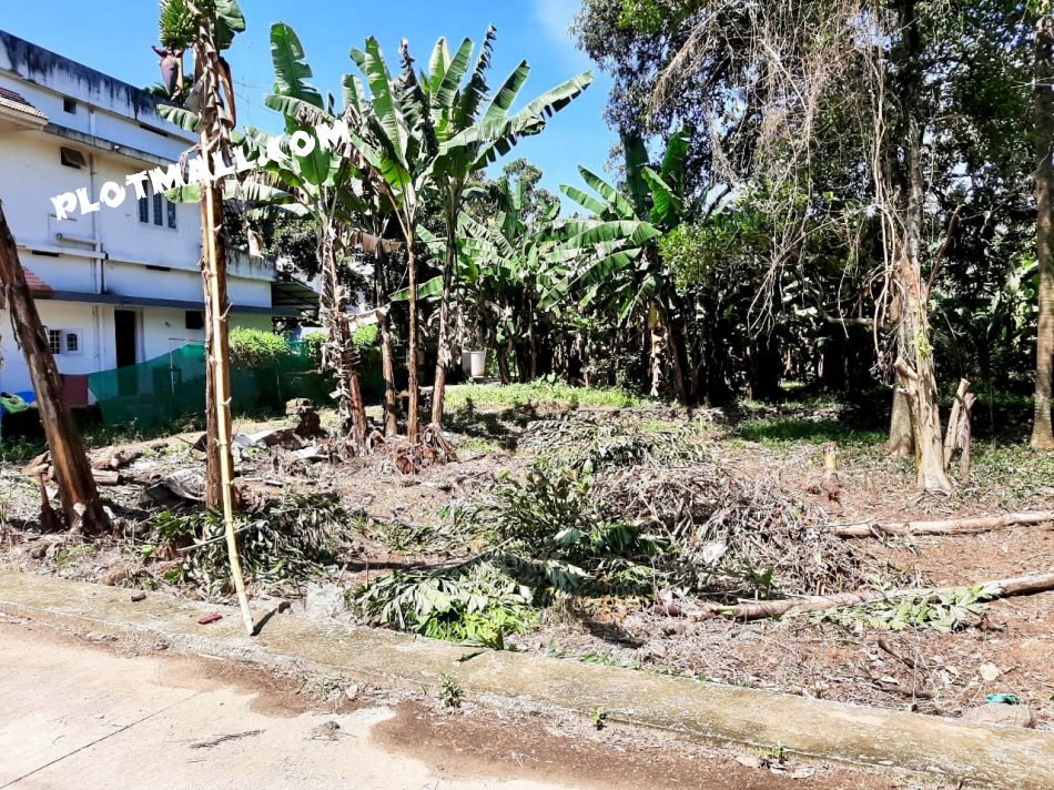 13.25 Cent Residential Land for Sale at Aluva Budget - 510000 Cent