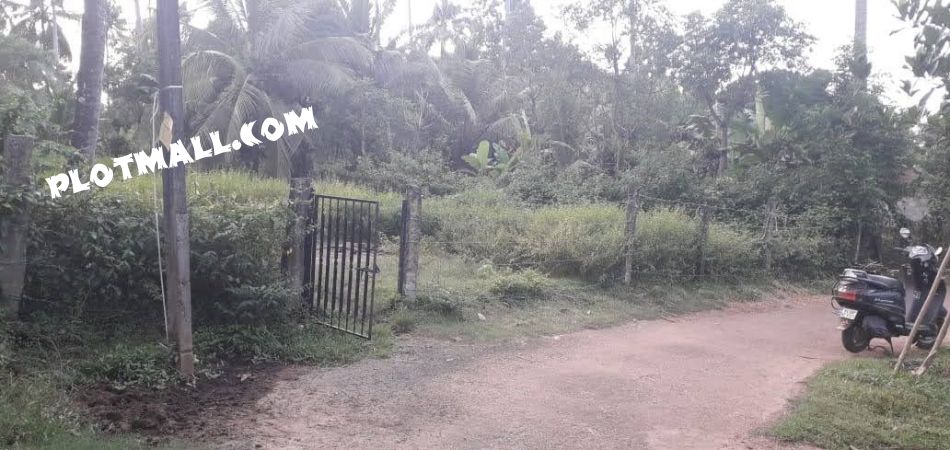 Residential Land For Sale