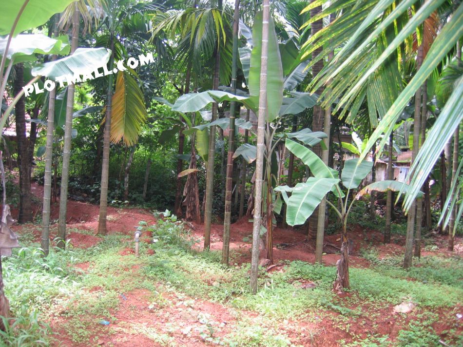 Residential Land For Sale