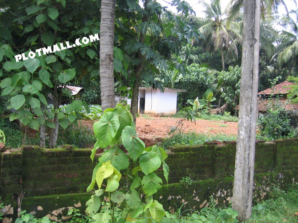 Residential Land For Sale