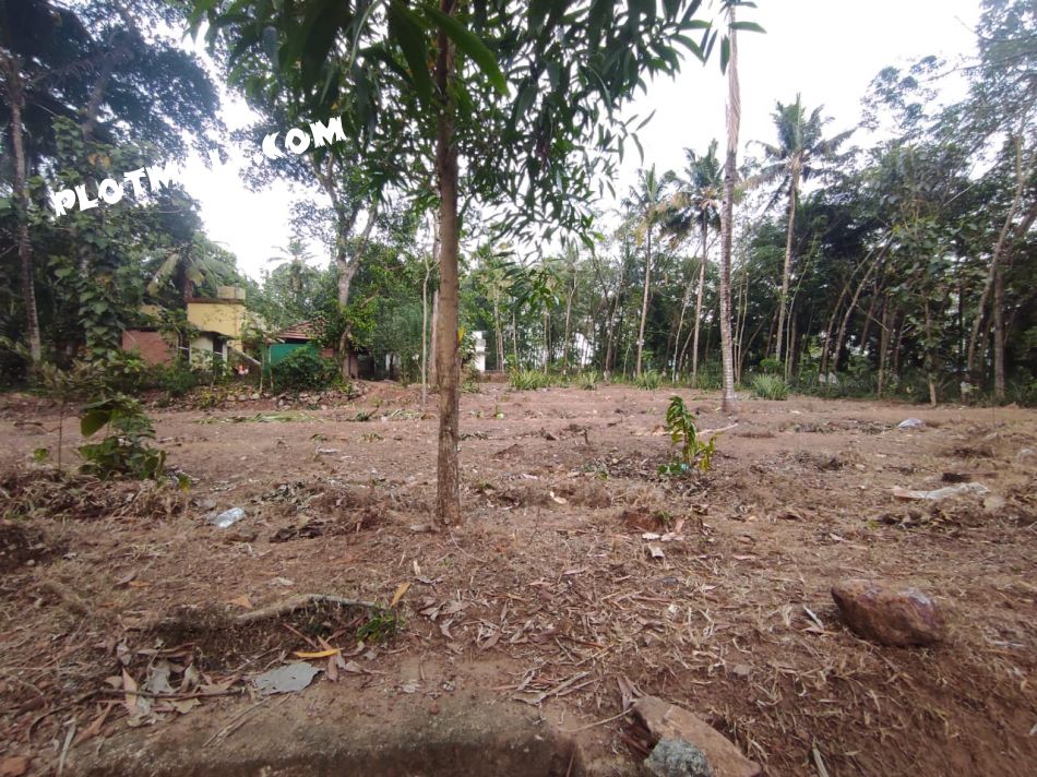 Residential Land For Sale