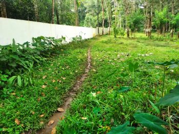 12 Cent Residential Land for Sale at Elavoor Budget - 225000 Cent