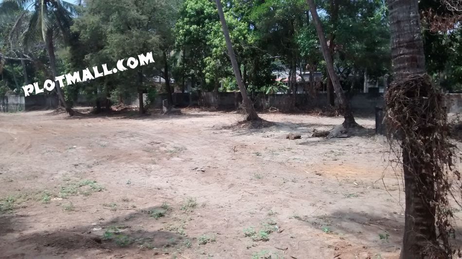 Residential Land For Rent