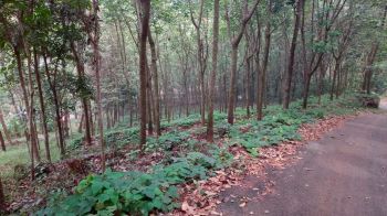 75 Cent Residential Land for Sale at Kallar Budget - 35000 Cent