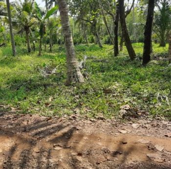 20 Cent Residential Land for Sale at Attupuram Budget - 350000 Cent