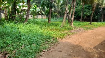 05 Cent Residential Land for Sale at Kavumpuram Budget - 300000 Cent