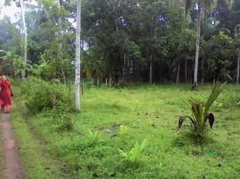 58 Cent Residential Land for Sale at Palakkad. Budget -  260000 Cent