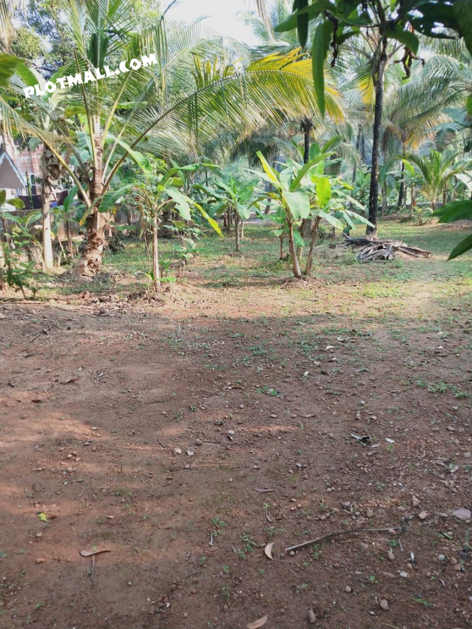 34 Cent Residential Land for Sale at Kozhikode Budget - 750000 Cent