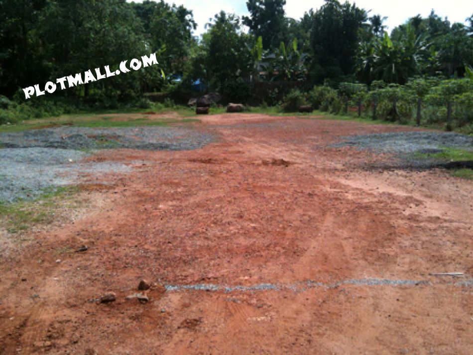 Vacant Land Bordered With Corner Stones