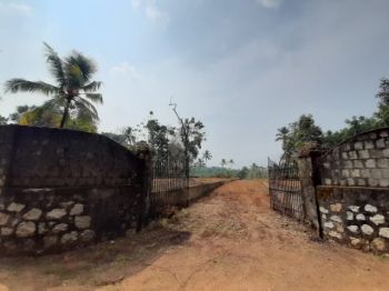 3.1 Acre Residential Land for Sale at Manakala Budget - 175000 Cent