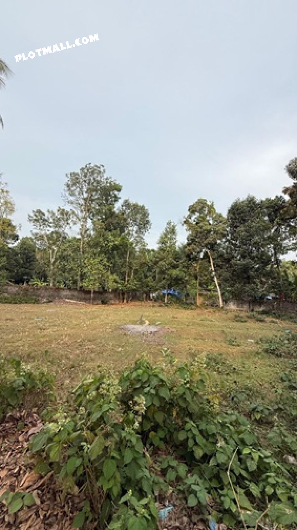 Residential Land For Sale