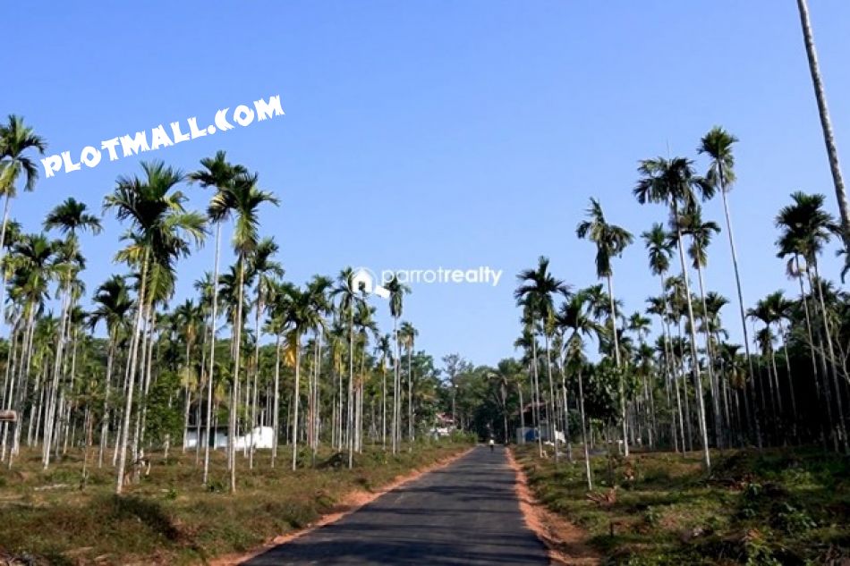 Residential Land For Sale