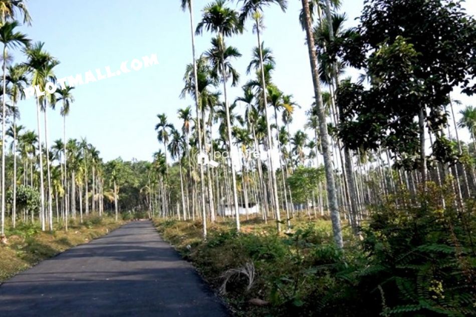 Residential Land For Sale