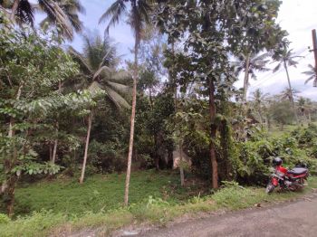 1.12 Acre Residential Land for Sale at Nedumangad Budget - 230000 Cent