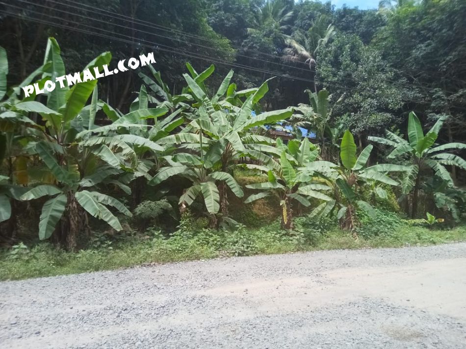 Residential Land For Sale