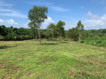 3.33 Acre Residential Land for Sale at Neerchal Budget - 3500000 Acre
