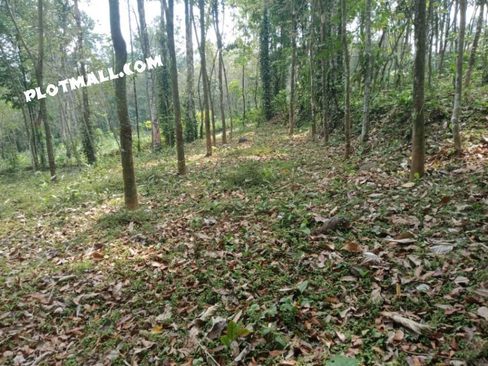 Residential Land For Sale