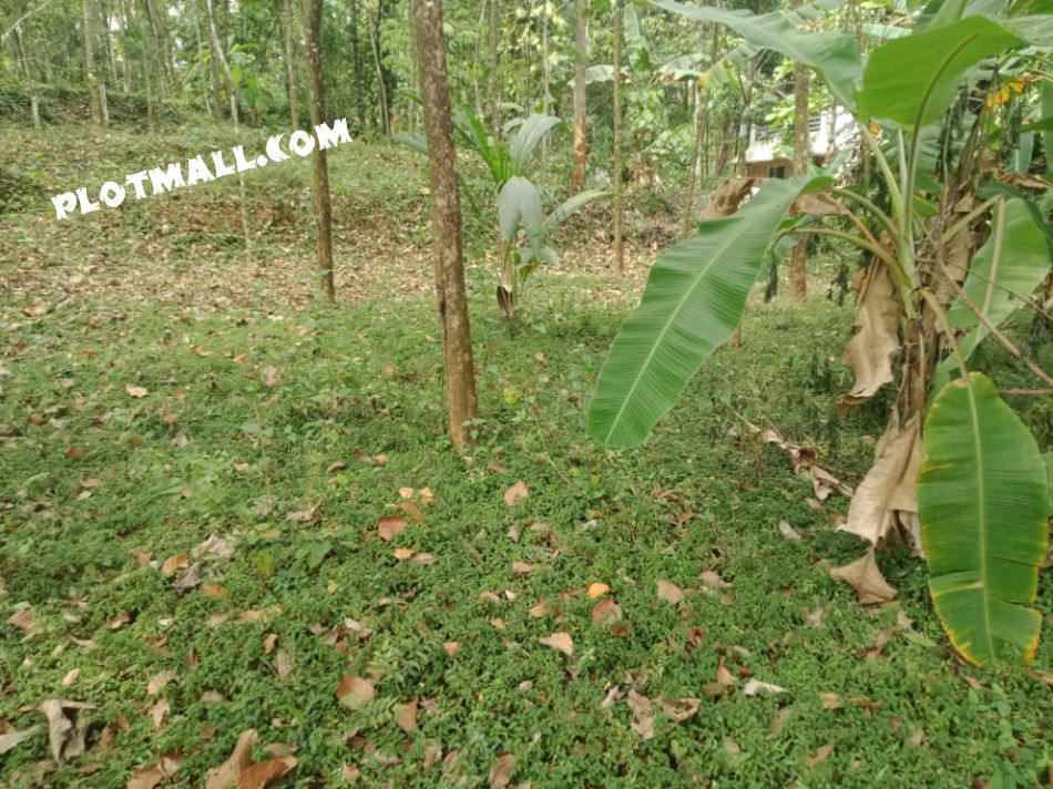 Residential Land For Sale