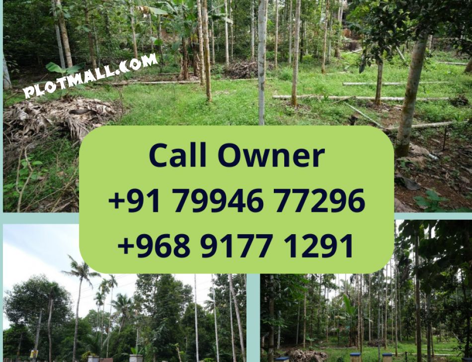 House Plot For Sale In Piravom