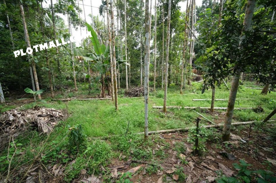 Residential Land For Sale