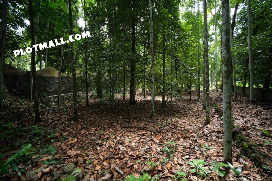 Residential Land For Sale