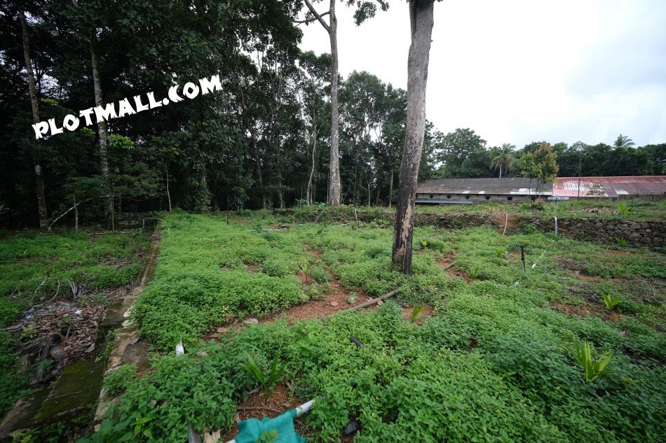 Residential Land For Sale